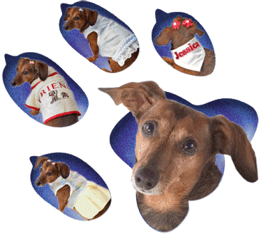 Designer Dog Clothes